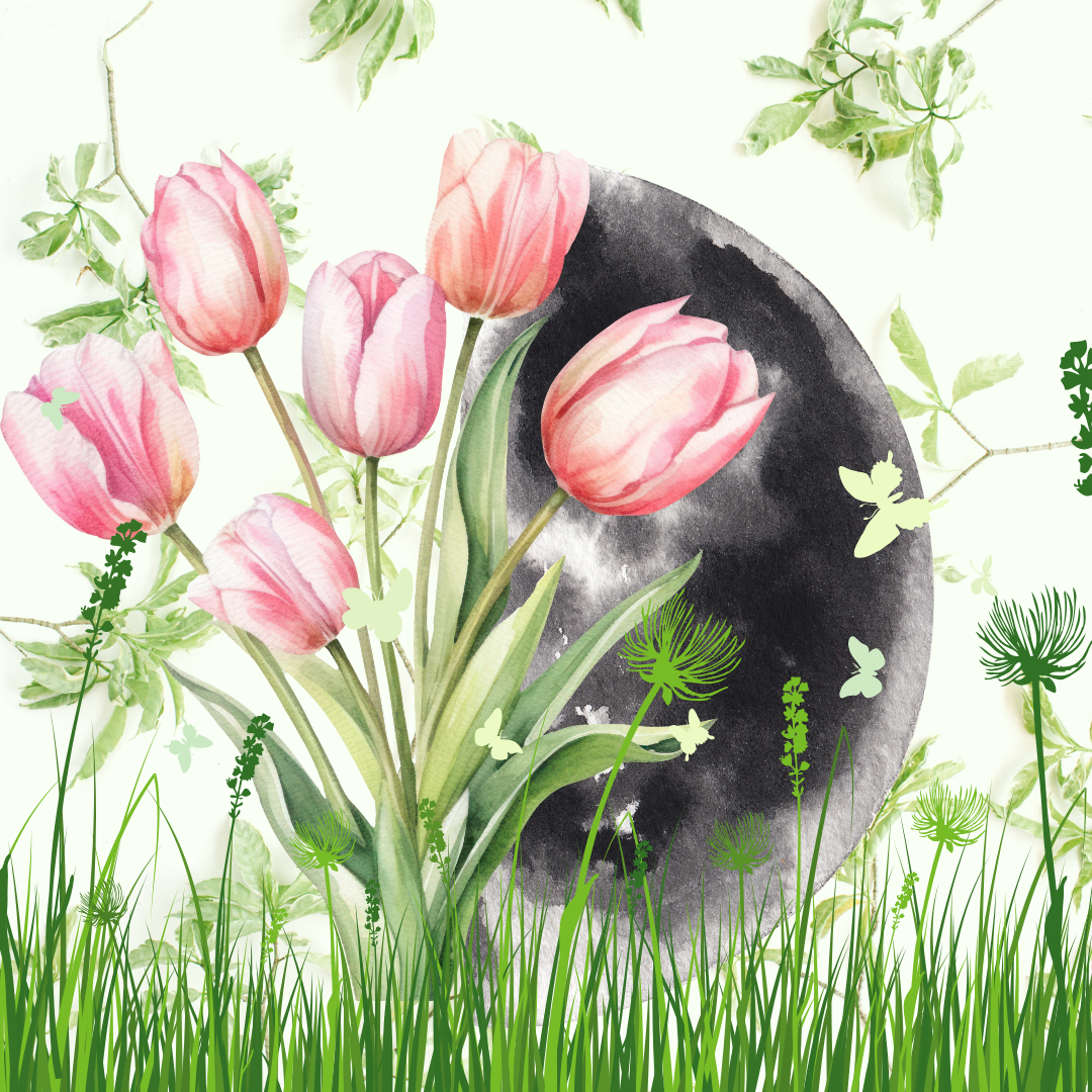 Spring + The First Quarter Moon